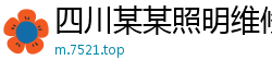 四川某某照明维修站